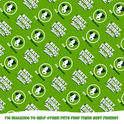 BFW Bandana Final   1  Thumbnail